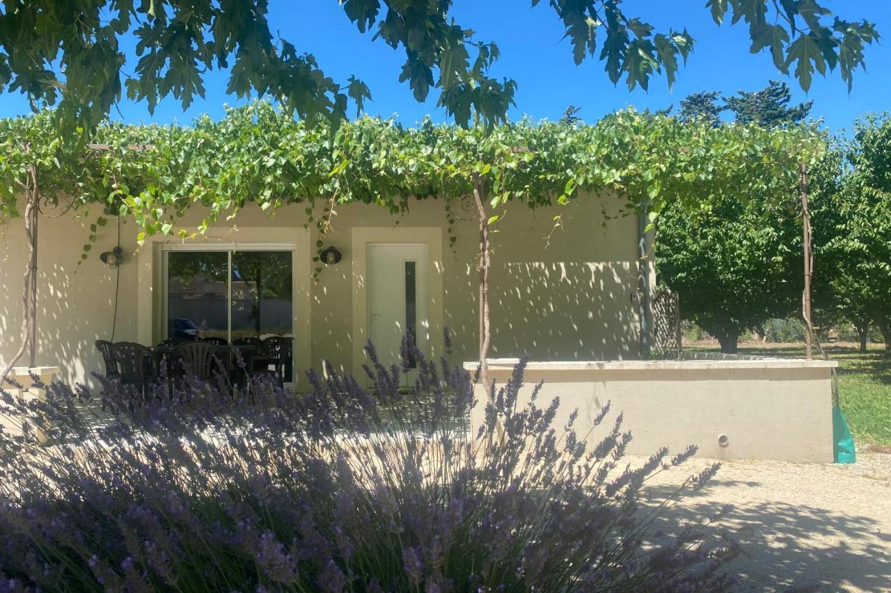 Le Ribbou Villa LʼIsle-sur-la-Sorgue Exterior foto